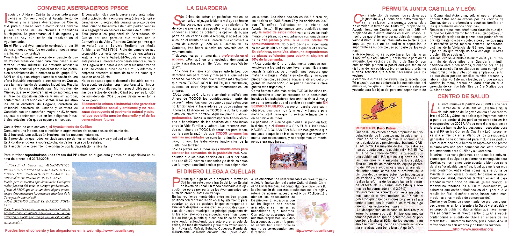 InteriorHojaPrimavera