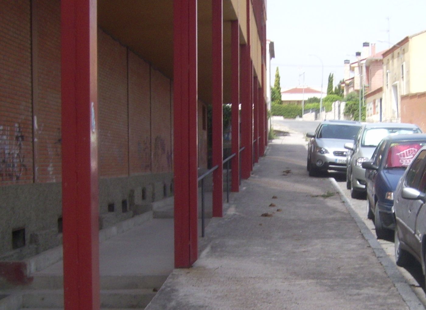 Cagada de caballo en la calle polideportivo