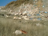 Barredora, ruedas, colchones y otros Barredora, ruedas, colchones y otros