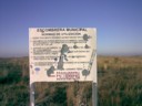 Cartel Cartel