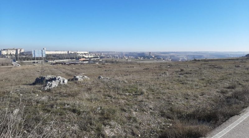 Vista del paraje de Las Lomas de Cuéllar, terreno incluido en el convenio de repoblación
